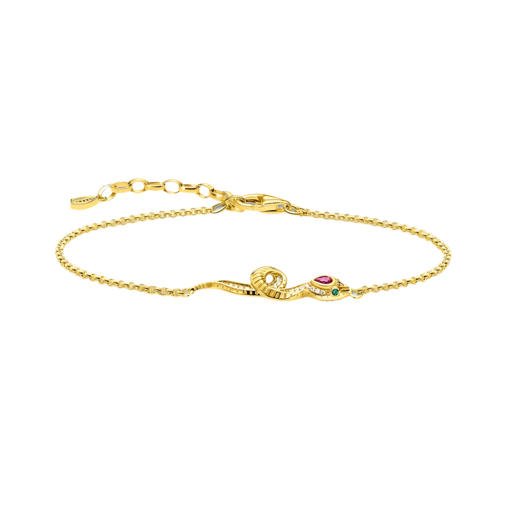 Colourful Snake Bracelets Link