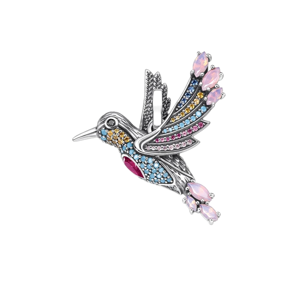 Colourful Hummingbird