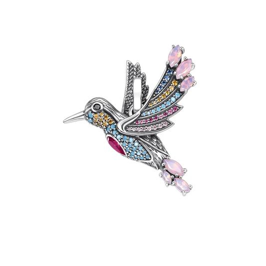 Colourful Hummingbird