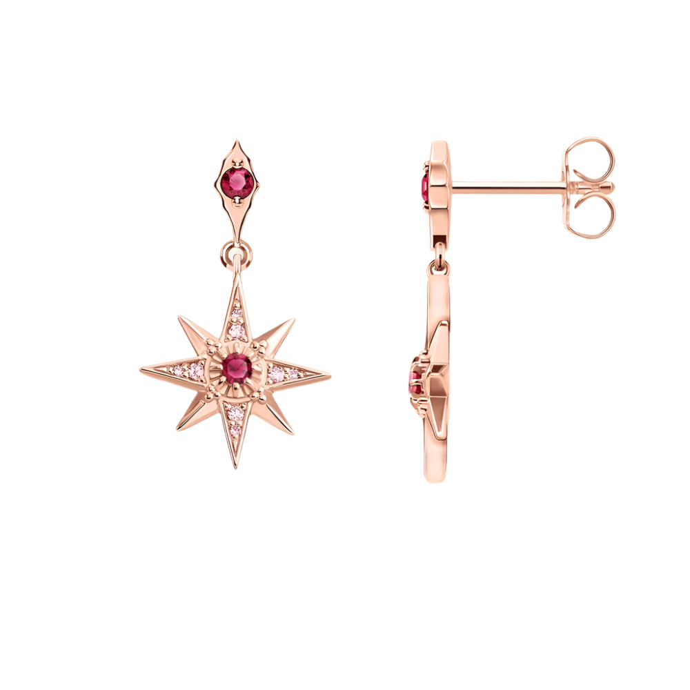 Earrings Delicate Magical Star