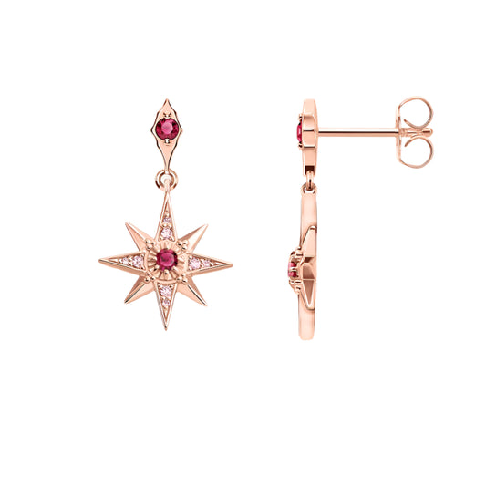 Earrings Delicate Magical Star