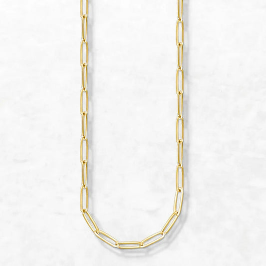 Yellow Gold Charm Necklace