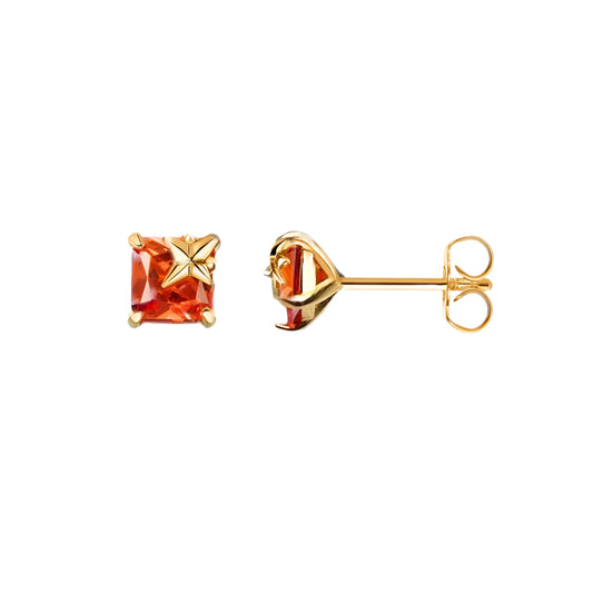 Studs Orange Stone With Star