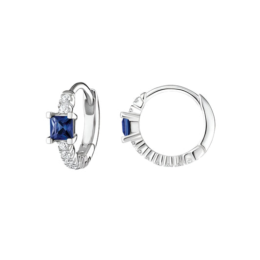 Blue Stone Timeless Earrings