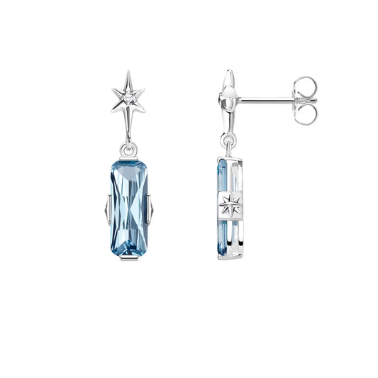 Fascinating earrings