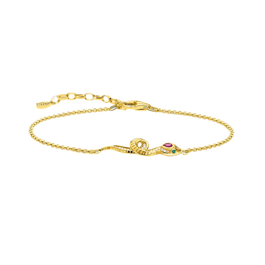 Colourful Snake Bracelets Link