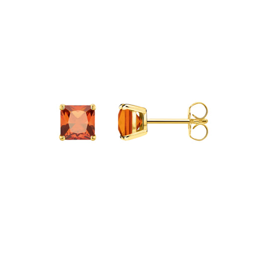 Studs Earrings Square Princess