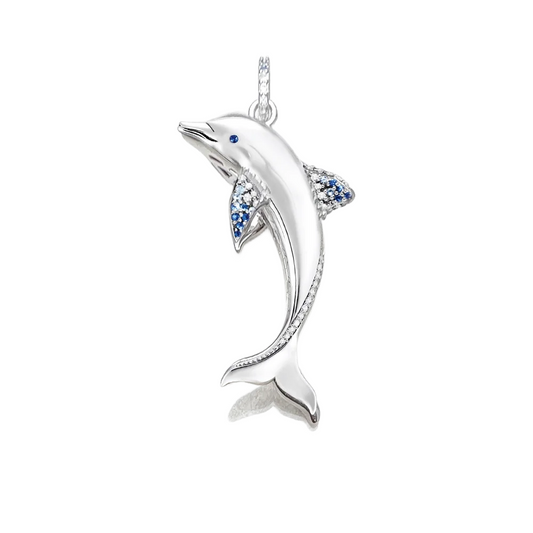 Cheerful Dolphin
